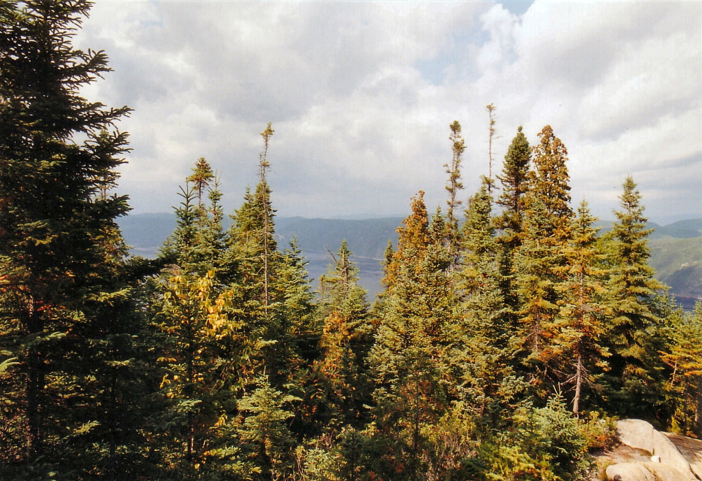 04 - Saguenay (0).jpg